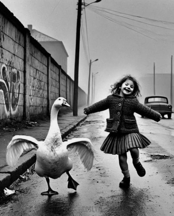 Scène Vagabonde Festival 2024